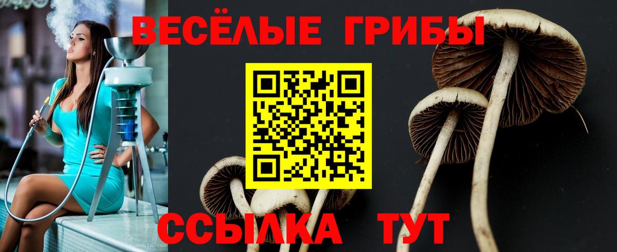 Галлюциногенные грибы мухоморы Бор